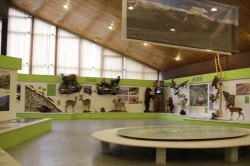 muzea zakopane centrum